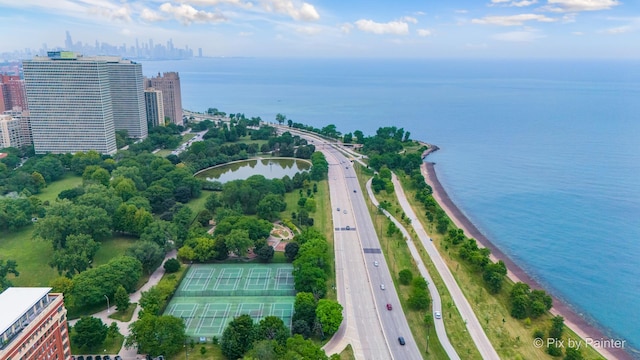 5323 S Harper Ave S Unit 1, Chicago, IL 60615 - aerial view of property's location featuring a major roadway and a nearby body of water