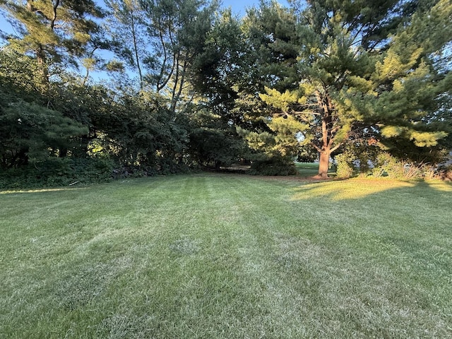 6412 Redbird Ln, Crystal Lake, IL 60012 - view of grassy yard