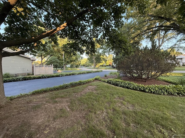 6412 Redbird Ln, Crystal Lake, IL 60012 - view of green lawn