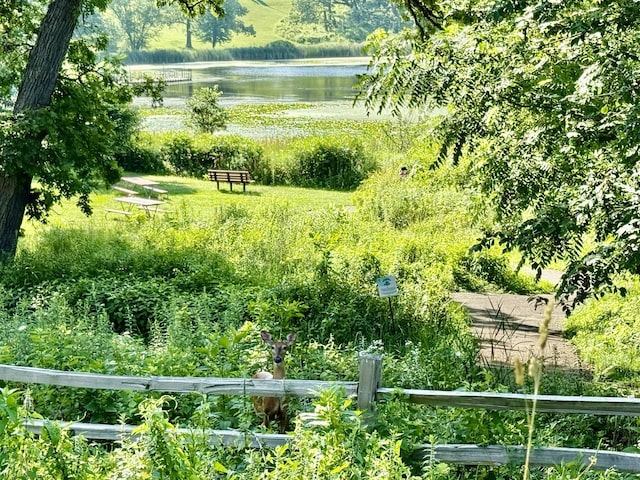6412 Redbird Ln, Crystal Lake, IL 60012 - view of yard with a water view