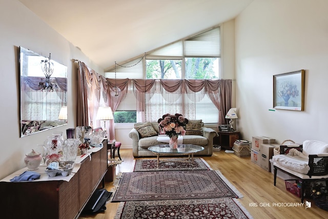 1247 Cavell Ave, Highland Park, IL 60035 - living area with light wood-type flooring and high vaulted ceiling