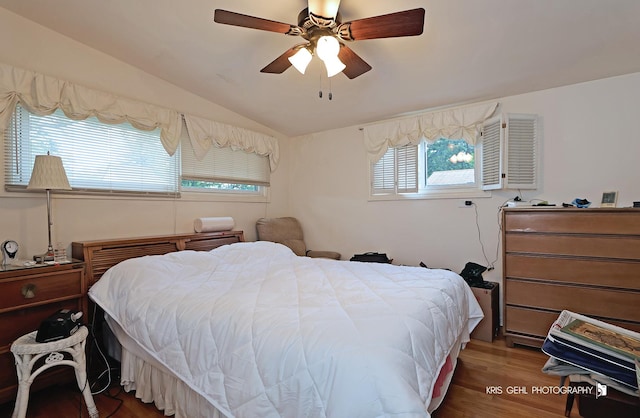 1247 Cavell Ave, Highland Park, IL 60035 - bedroom with lofted ceiling, wood finished floors, and a ceiling fan