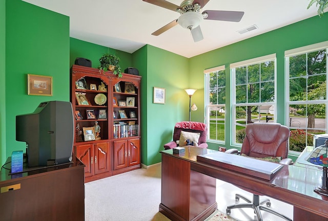 13201 Juneberry Ln, Huntley, IL 60142 - photo 20