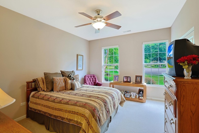 13201 Juneberry Ln, Huntley, IL 60142 - photo 21