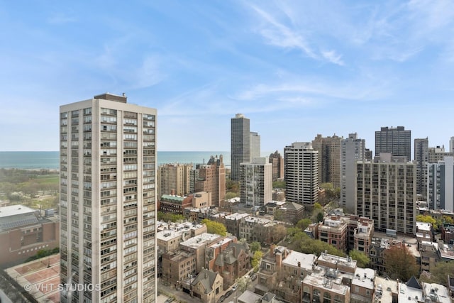 1455 N Sandburg Ter Unit 2606, Chicago, IL 60610 - view of city with a nearby body of water