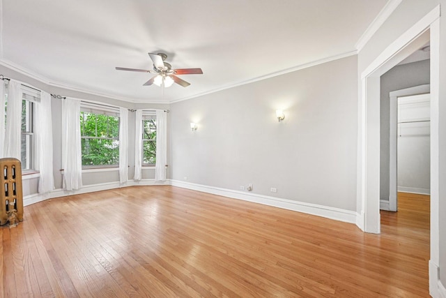 407 S E Ave Unit 1, Oak Park, IL 60302 - photo 10