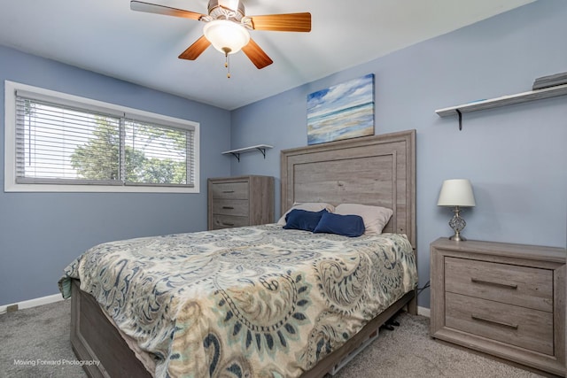 2215 Birchwood Pkwy, Woodridge, IL 60517 - photo 19