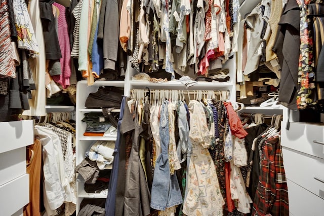 1428 W Lexington St Unit 1, Chicago, IL 60607 - view of spacious closet