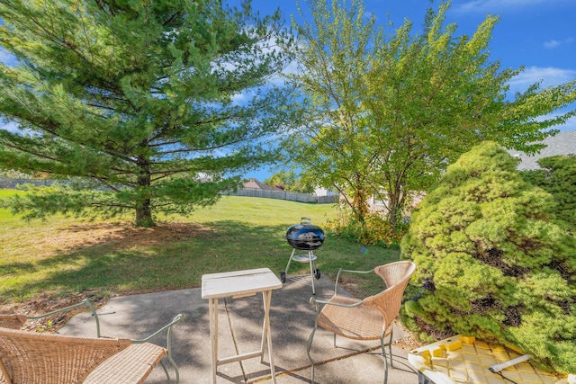 15808 Farm Hill Dr, Orland Park, IL 60462 - photo 18