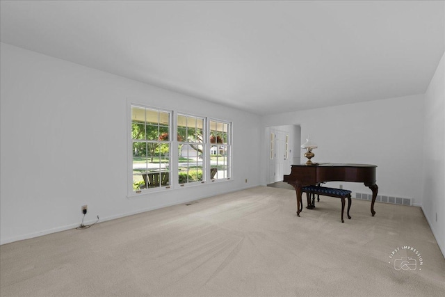 1017 Prairie St, Saint Charles, IL 60174 - photo 3