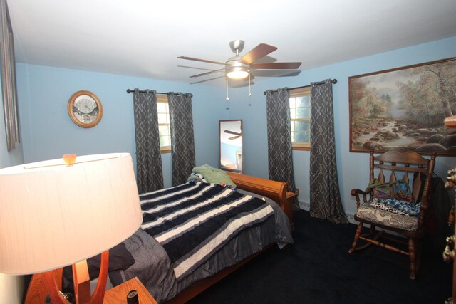 1005 Black Rd, Joliet, IL 60435 - bedroom with multiple windows, carpet, and a ceiling fan
