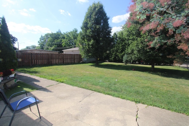 1005 Black Rd, Joliet, IL 60435 - view of yard