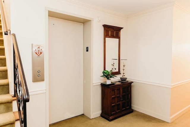 3427 Vollmer Rd Unit 209, Flossmoor, IL 60422 - corridor with carpet floors, stairway, elevator, and ornamental molding
