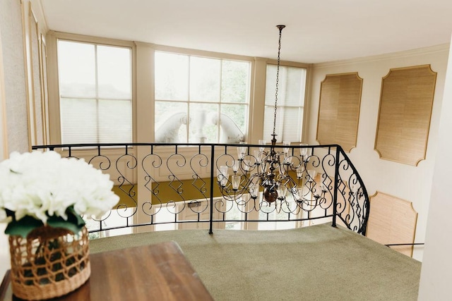 3427 Vollmer Rd Unit 209, Flossmoor, IL 60422 - hall with healthy amount of natural light and crown molding