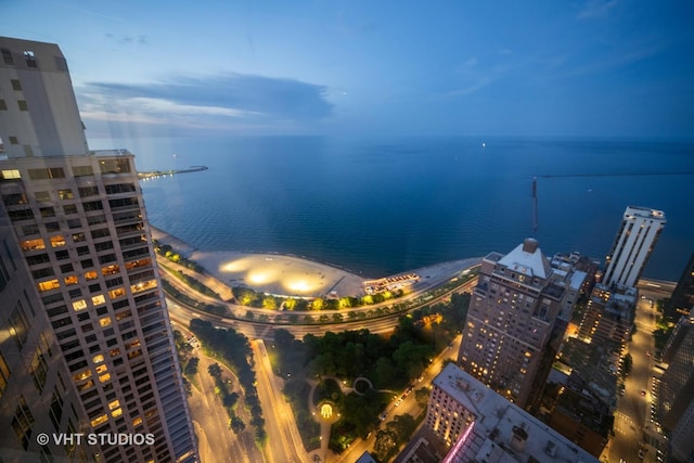 950 N Michigan Ave Unit 4904, Chicago, IL 60611 - view of urban area with a large body of water
