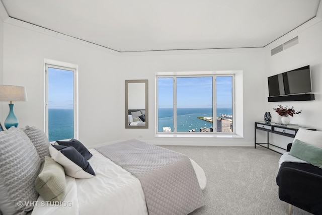 950 N Michigan Ave Unit 4904, Chicago, IL 60611 - carpeted bedroom with multiple windows