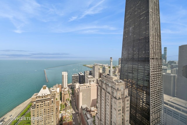 950 N Michigan Ave Unit 4904, Chicago, IL 60611 - view of city with a large body of water