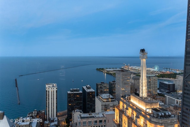 950 N Michigan Ave Unit 4904, Chicago, IL 60611 - view of city featuring a large body of water