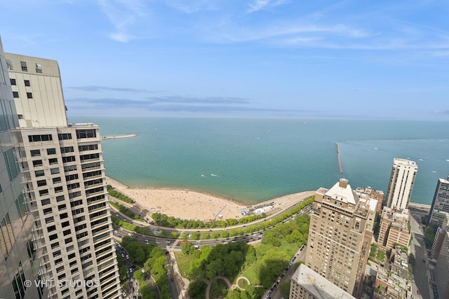 950 N Michigan Ave Unit 4904, Chicago, IL 60611 - water view