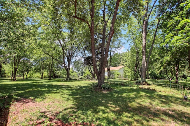 40474 N Glendale Ave, Beach Park, IL 60099 - view of yard