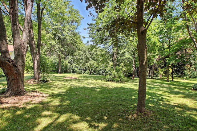 40474 N Glendale Ave, Beach Park, IL 60099 - view of grassy yard