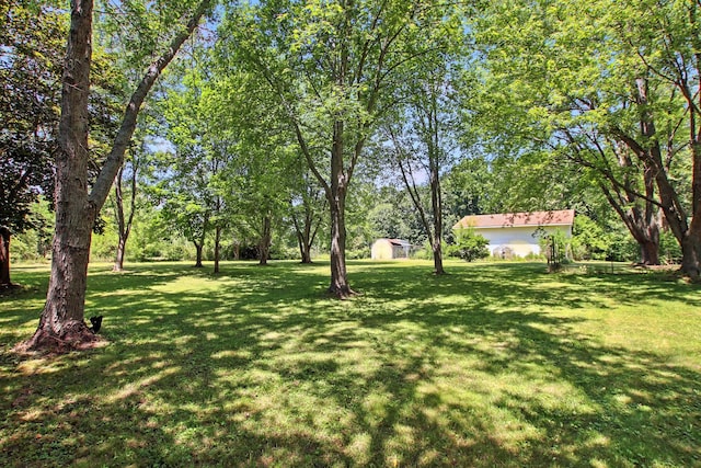40474 N Glendale Ave, Beach Park, IL 60099 - view of green lawn with a storage shed