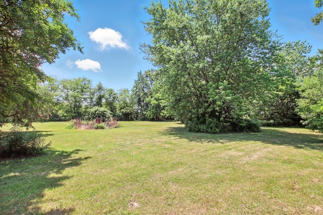 40474 N Glendale Ave, Beach Park, IL 60099 - view of green lawn