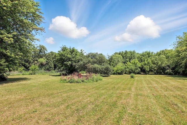40474 N Glendale Ave, Beach Park, IL 60099 - view of grassy yard with a forest view