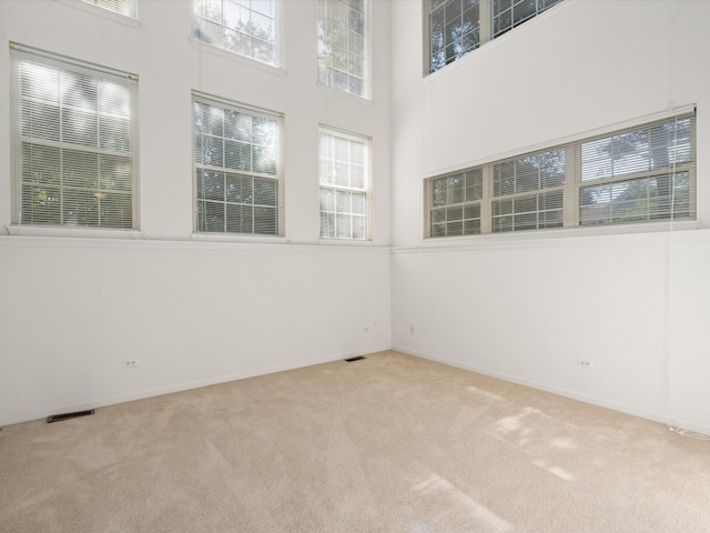 775 N Regis Ct, Palatine, IL 60067 - spare room featuring carpet floors and a towering ceiling