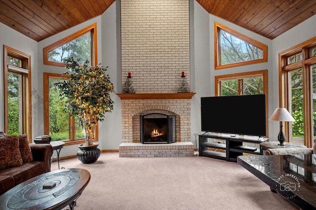 36 Oak Bluff Ct, Naperville, IL 60565 - photo 15