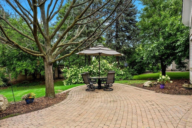 36 Oak Bluff Ct, Naperville, IL 60565 - photo 33