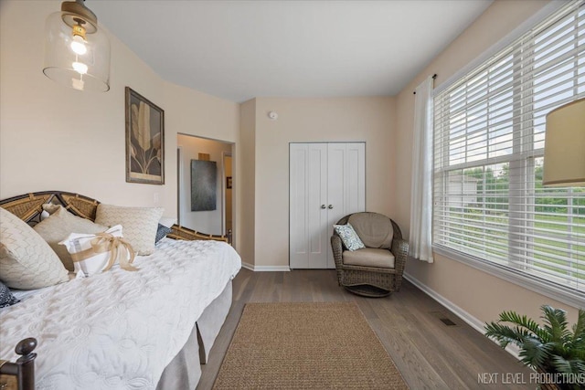 1126 Mandalay Ln Unit 1126, Bolingbrook, IL 60490 - bedroom with wood finished floors, multiple windows, and a closet