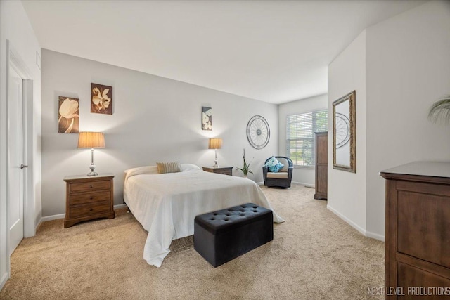 1126 Mandalay Ln Unit 1126, Bolingbrook, IL 60490 - bedroom featuring light colored carpet and baseboards