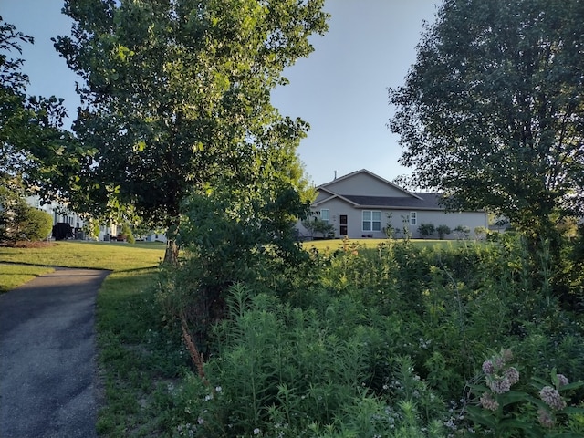 1126 Mandalay Ln Unit 1126, Bolingbrook, IL 60490 - view of side of property featuring a yard