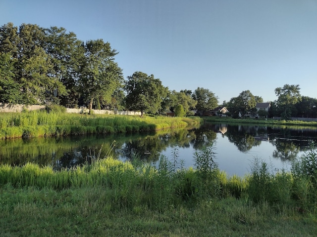 1126 Mandalay Ln Unit 1126, Bolingbrook, IL 60490 - water view