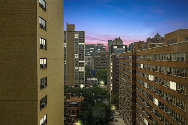 3150 N Lake Shore Dr Unit 14E, Chicago, IL 60657 - city view