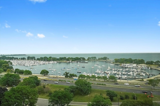 3150 N Lake Shore Dr Unit 14E, Chicago, IL 60657 - water view featuring a marina