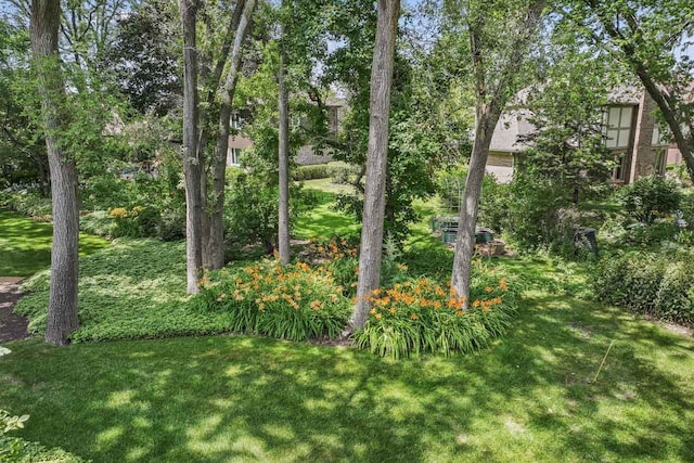502 Nawata Pl, Prospect Heights, IL 60070 - photo 57