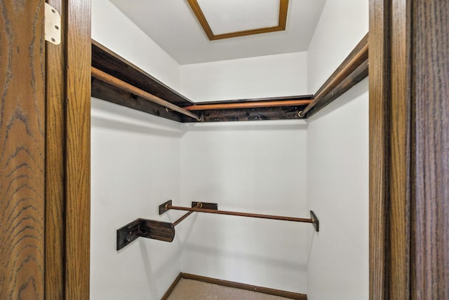 2S772 Timber Dr, Warrenville, IL 60555 - view of spacious closet