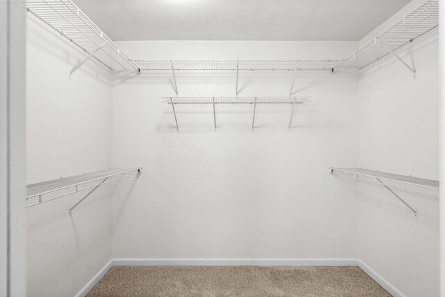 1312 Wicklow Dr, Bloomington, IL 61705 - spacious closet featuring carpet floors