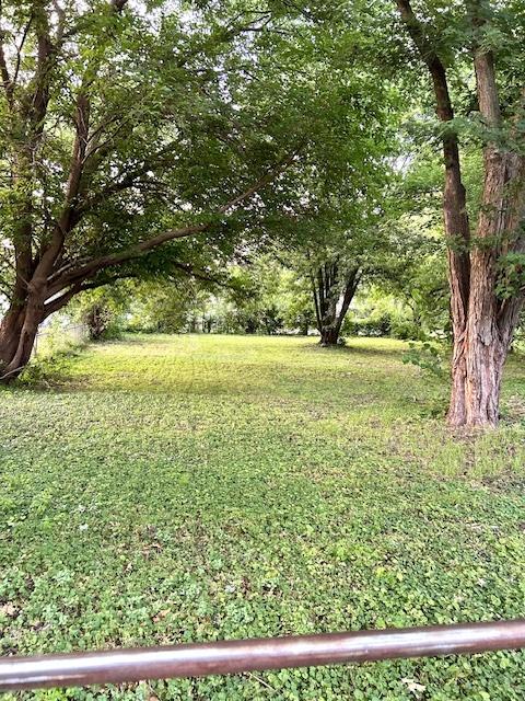 1226 175th St, East Hazel Crest, IL 60429 - view of yard