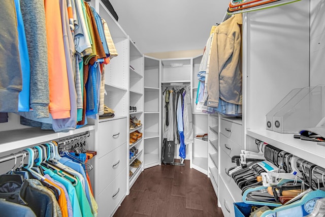 26711 S Greenbriar Dr, Monee, IL 60449 - spacious closet with dark wood-style floors