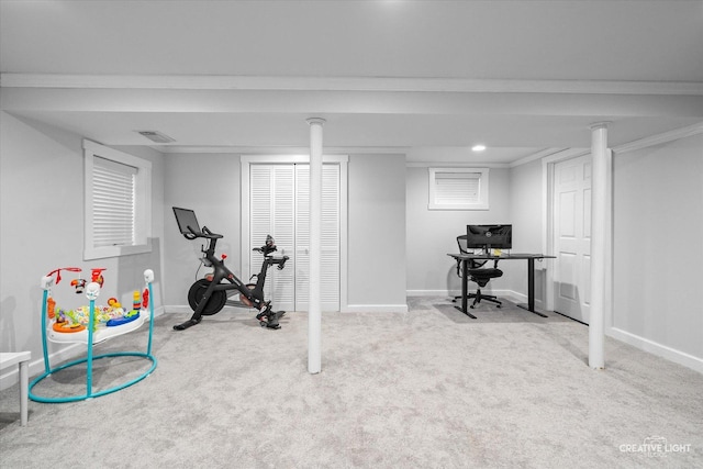 447 Newport Dr, Naperville, IL 60565 - exercise room with carpet flooring