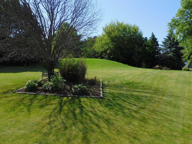 565 Sandra Cir, Freeport, IL 61032 - view of green lawn