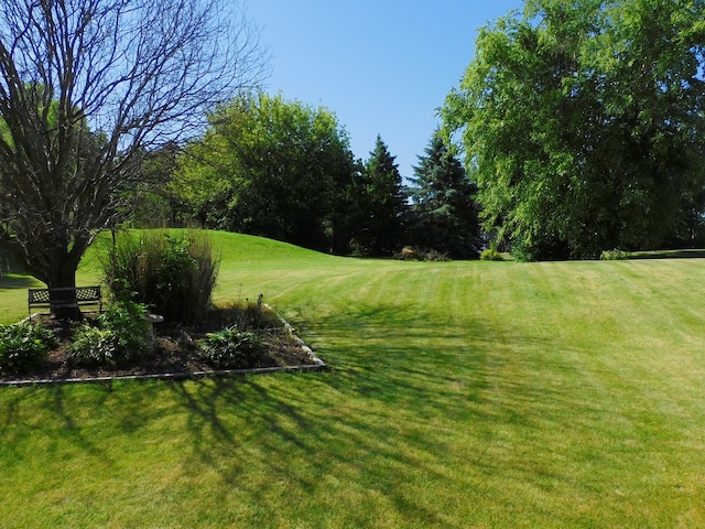 565 Sandra Cir, Freeport, IL 61032 - view of green lawn