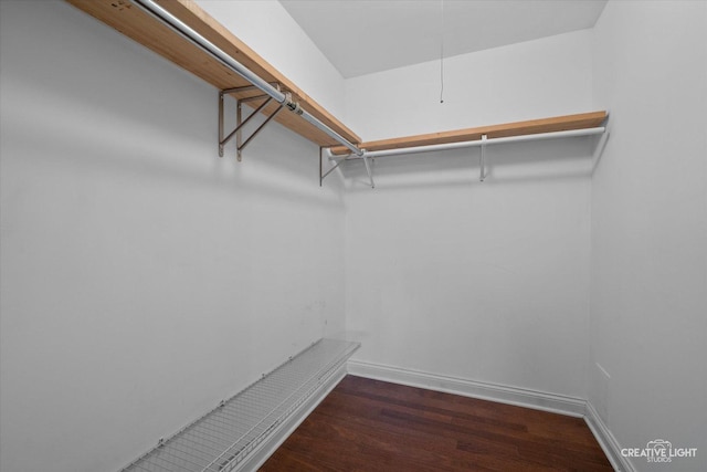 2300 Old Tavern Rd Unit 101, Lisle, IL 60532 - walk in closet with wood finished floors and attic access