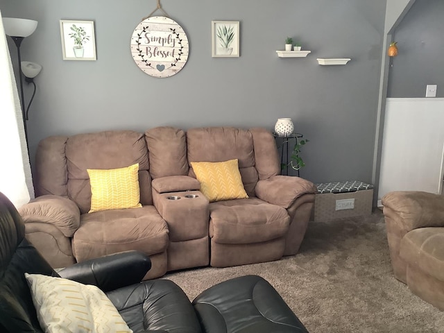 427 Kenyon Ave, Romeoville, IL 60446 - view of carpeted living room