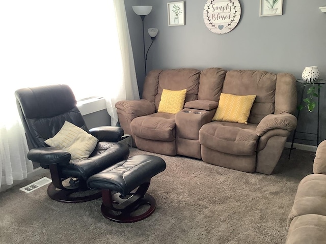 427 Kenyon Ave, Romeoville, IL 60446 - view of carpeted living room