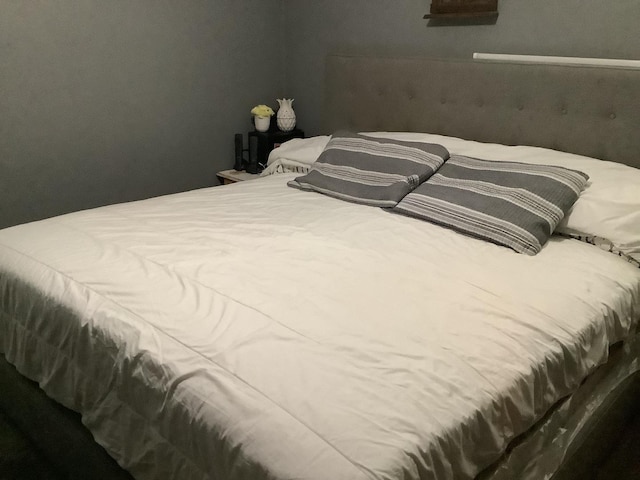 427 Kenyon Ave, Romeoville, IL 60446 - view of bedroom