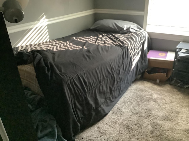 427 Kenyon Ave, Romeoville, IL 60446 - view of carpeted bedroom